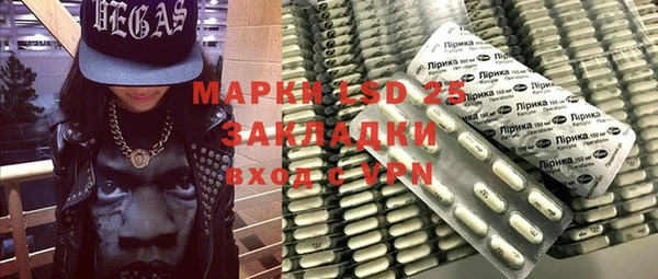 ГАЛЛЮЦИНОГЕННЫЕ ГРИБЫ Абаза
